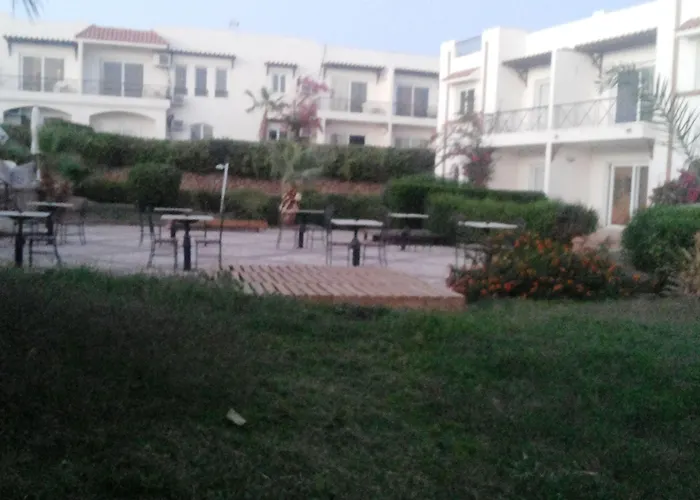 Logaina Şarm El-Şeyh